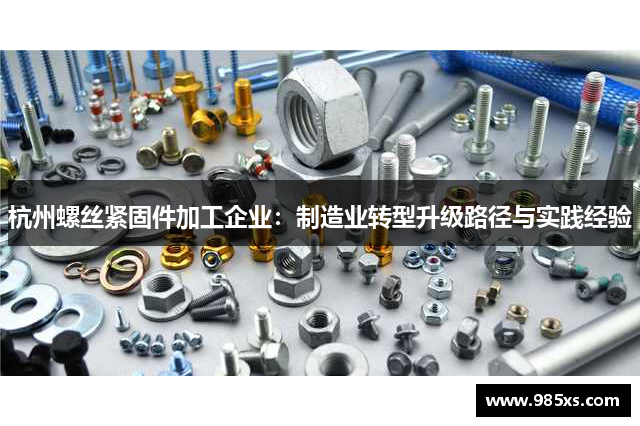 杭州螺丝紧固件加工企业：制造业转型升级路径与实践经验